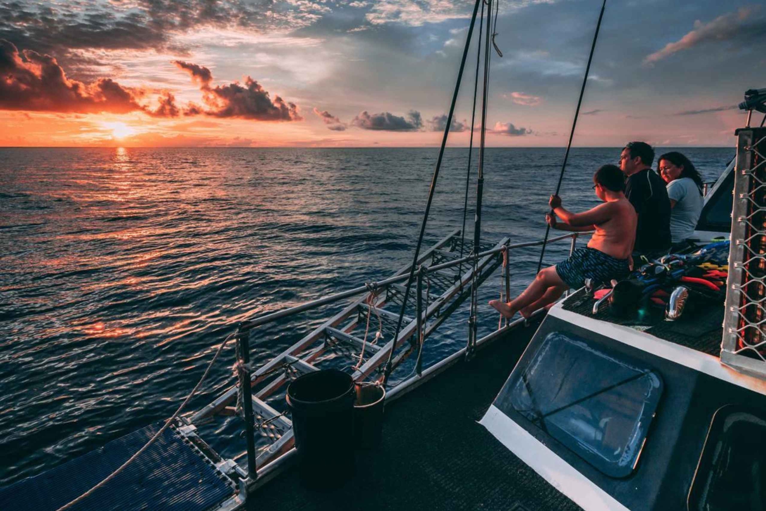 Cairns : Excursion de 2 jours en bateau pour la plongée et le snorkeling sur la Grande Barrière de Corail