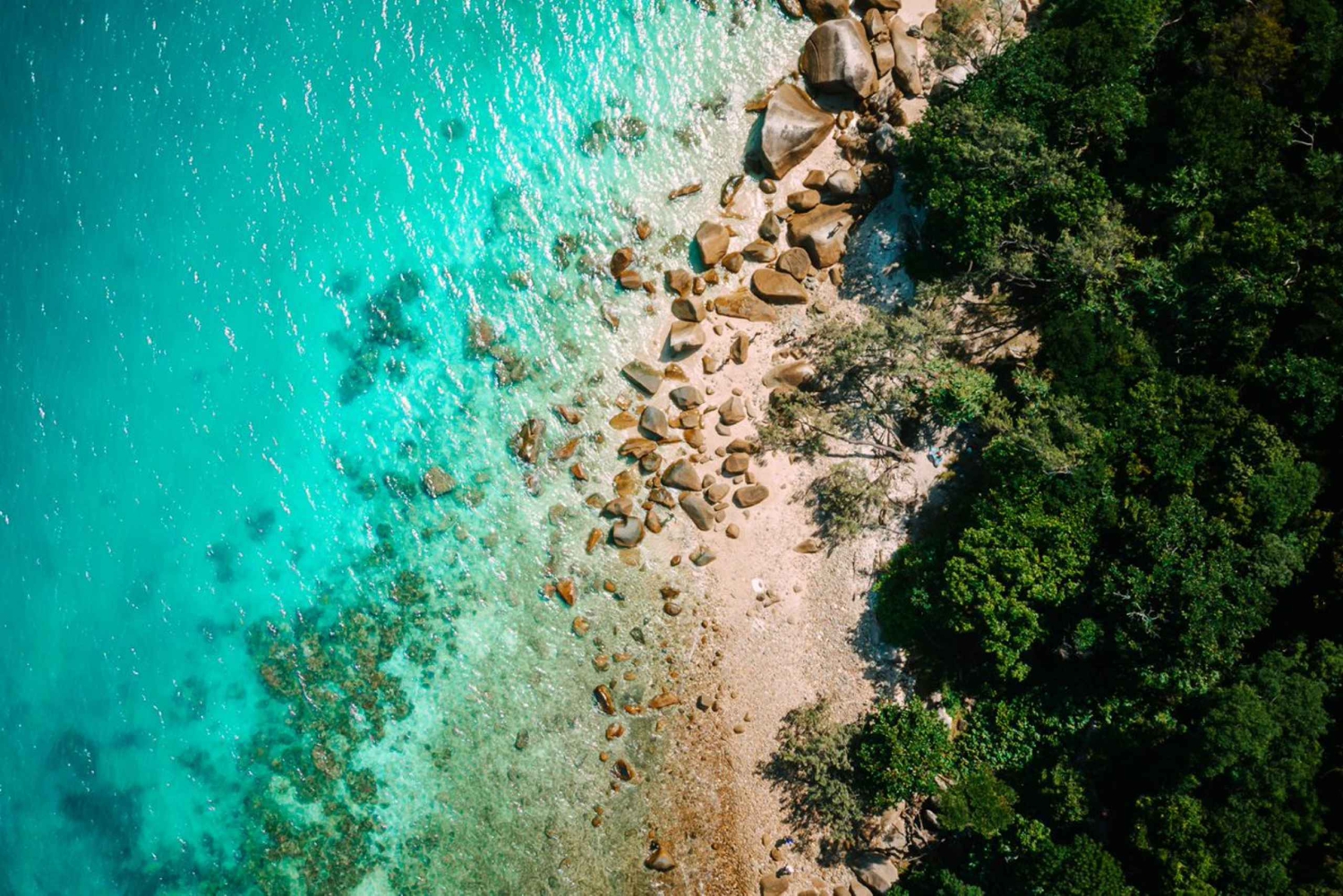 Cairns: Fitzroy Island-veerboot met optionele lunch en activiteit