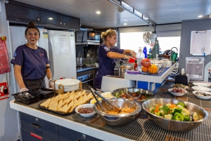 Cairns: Pro Dive Great Barrier Reef 3 dages/2 nætters dykkertur