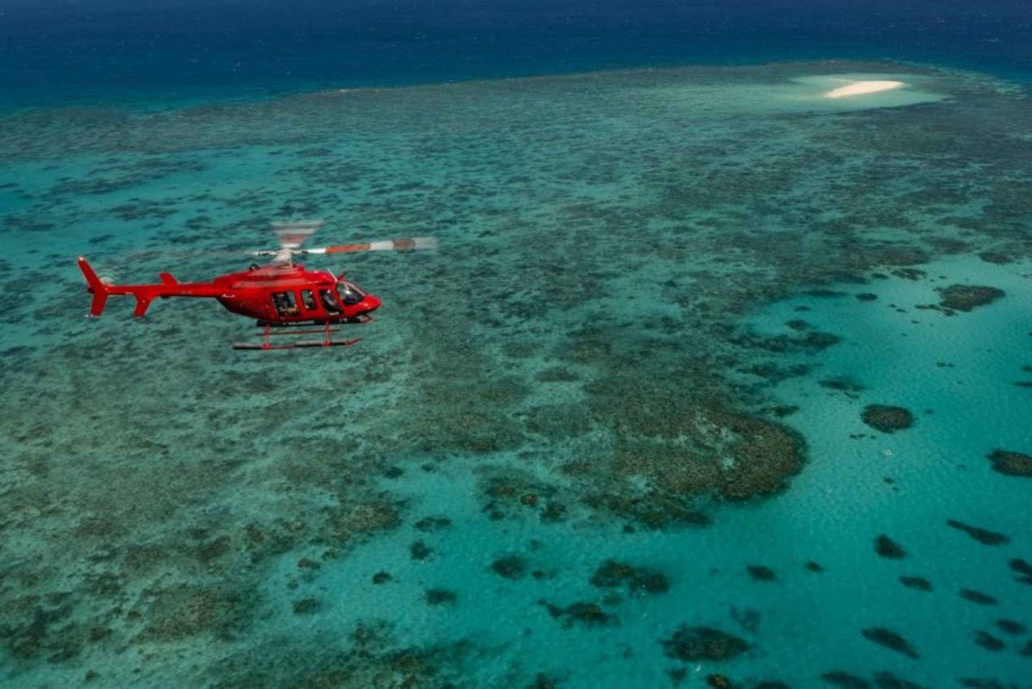 Cairns: Great Barrier Reef 30-minuuttinen helikopterilento: Great Barrier Reef 30-minuuttinen helikopterilento