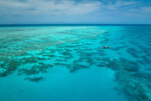Cairns: Snorkeltur i små grupper til Great Barrier Reef