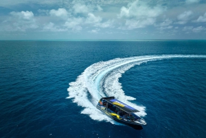Cairns: Snorkeltur i små grupper til Great Barrier Reef