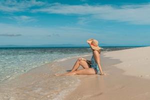Cairns: Snorkeltur i små grupper til Great Barrier Reef