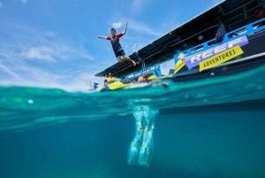 Cairns: Snorkeltur i små grupper til Great Barrier Reef