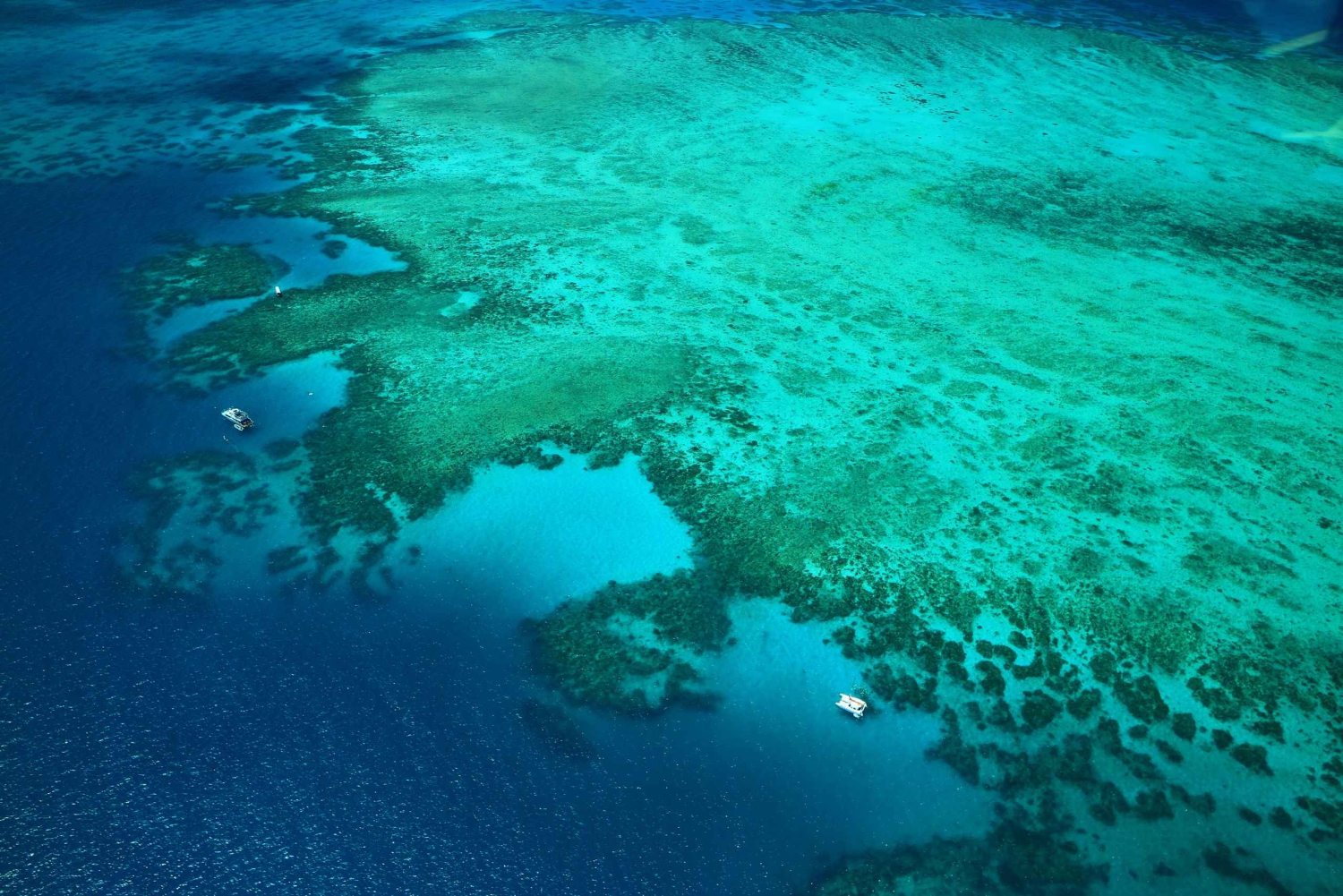 Cairns: Rundflug über die äußeren Ränder des Great Barrier Reef