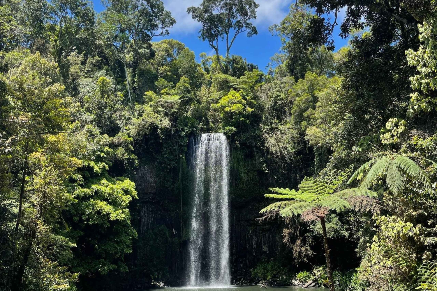 Cairns: Tur till Paronella, Lake Barrine och Millaa Millaa Falls