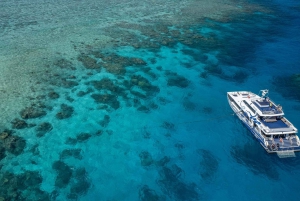 Cairns: Premium Snorkelling and Diving GBR Day Trip