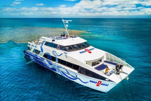 Cairns: Premium Snorkelling and Diving GBR Day Trip