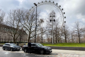 Det centrale London: Halvdagstur