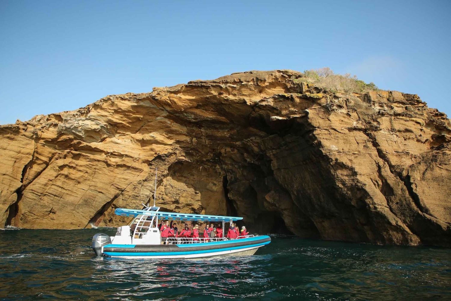 Coastal 2.5-hour Adventure Boat Tour from Newcastle