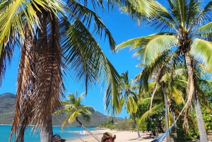 Kysteventyr: Dingo Beach og Cape Gloucester