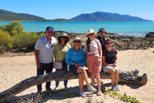 Kysteventyr: Dingo Beach og Cape Gloucester