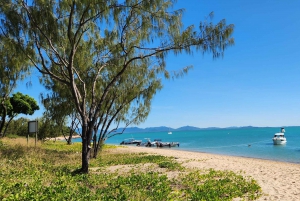 Kysteventyr: Dingo Beach og Cape Gloucester