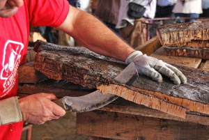 Экскурсия по фабрике пробки