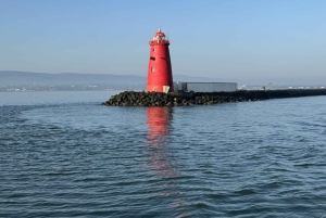 Baía de Dublin: cruzeiro do centro da cidade para Dun Laoghaire