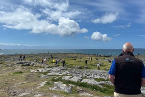 Dublin: Cliffs of Moher, Burren, and Galway Day Trip