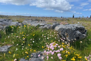 Dublin: Cliffs of Moher, Burren, and Galway Day Trip