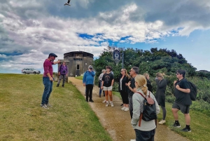 Dublin: Dublin Coastal Hike and Pints & Puppies