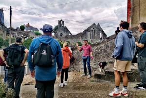 Dublin: Dublin Coastal Hike and Pints & Puppies