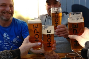 Dublin: Dublin Coastal Hike and Pints & Puppies