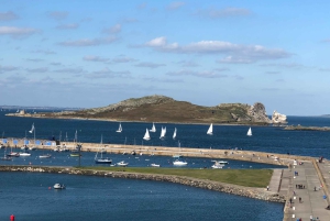 Dublin: Dublin Coastal Hike and Pints & Puppies