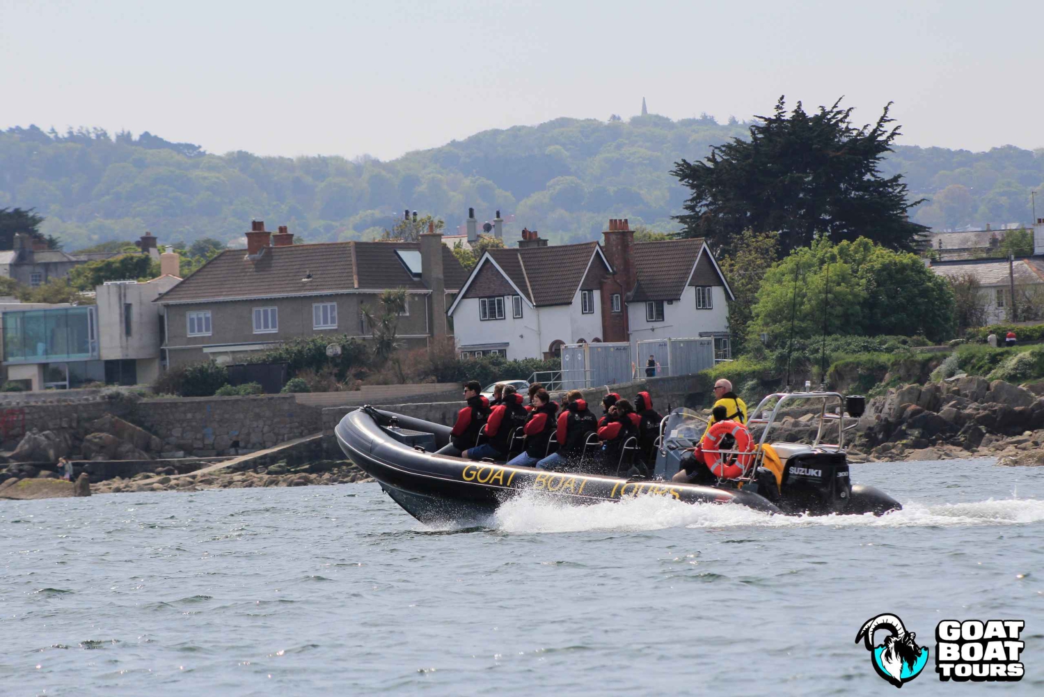 Dublino: tour in barca con storia e fauna selvatica e commento dal vivo