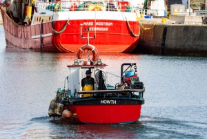 Dublín: ruta de la cerveza artesanal y el marisco por la costa de Howth