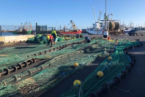 Dublín: ruta de la cerveza artesanal y el marisco por la costa de Howth