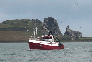 Dublín: ruta de la cerveza artesanal y el marisco por la costa de Howth