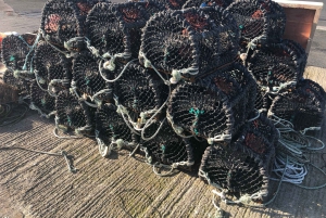 Dublín: ruta de la cerveza artesanal y el marisco por la costa de Howth