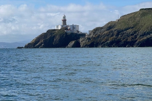 ダブリン：ハウスクルーズ＆ディナー体験