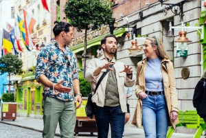Dublin: Persoonlijke privétour met een lokale gastheer