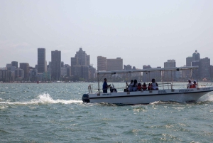 Durban: 1-godzinny rejs łodzią z nabrzeża Wilsona