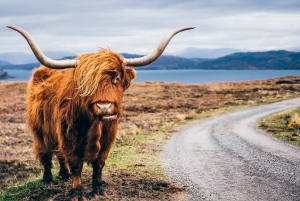 Edinburgh: 3-Day Isle of Skye, Highlands, and Loch Ness Tour