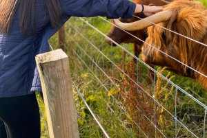 Edinburgh: 3-Day Isle of Skye, Highlands, and Loch Ness Tour