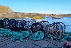 Из Абердина: тур по прибрежным деревням Абердиншира