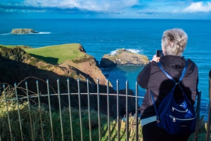 Von Belfast aus: Ganztägiger Landausflug zum Giant's Causeway