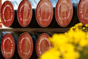 Von Belfast aus: Ganztägiger Landausflug zum Giant's Causeway