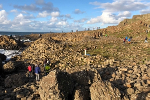 Von Belfast aus: Ganztägiger Landausflug zum Giant's Causeway