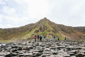Fra Belfast: Giant's Causeway heldagsudflugt med guide