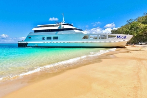 Vanuit Brisbane: Moreton Island hele dagtrip