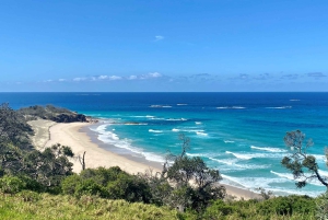 Vanuit Brisbane: Wildlifeavontuur op North Stradbroke Island