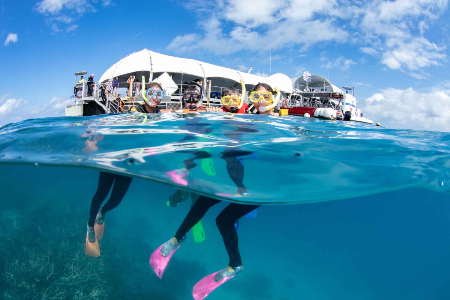 Desde Cairns: experiencia en pontón en la Gran Barrera de Coral