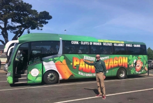 Vanuit Dublin: Belfast, Monasterboice & Geboorteplaats van de Titanic