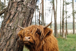 Von Edinburgh aus: 2-tägige Ultimate Highland Tour mit Hotel