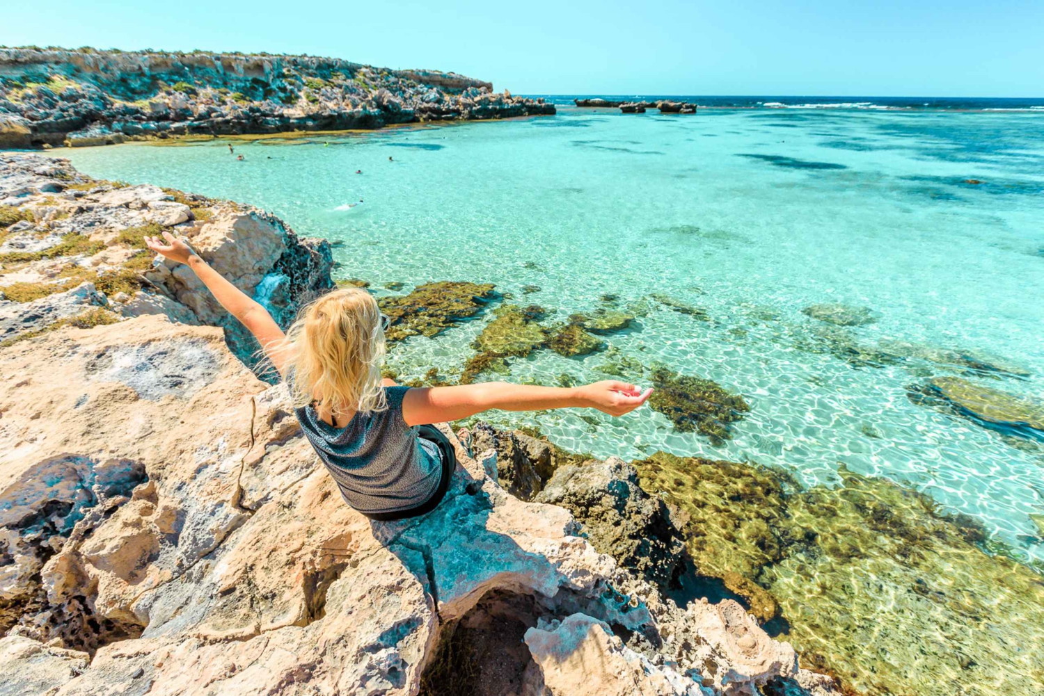 Fra Fremantle: Rottnest Island færge og adgangsbillet