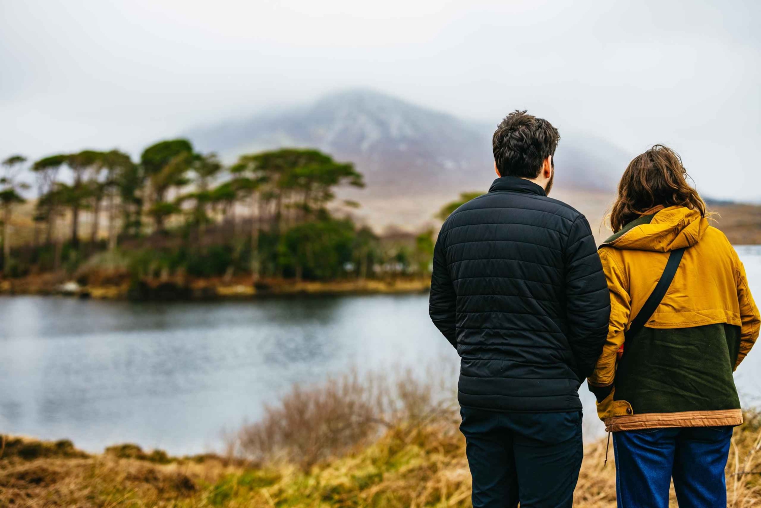 Fra Galway: Dagsudflugt til Connemara og Connemara National Park