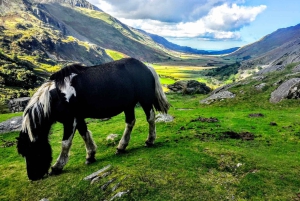 From Liverpool: North Wales Adventure Sightseeing Day Trip