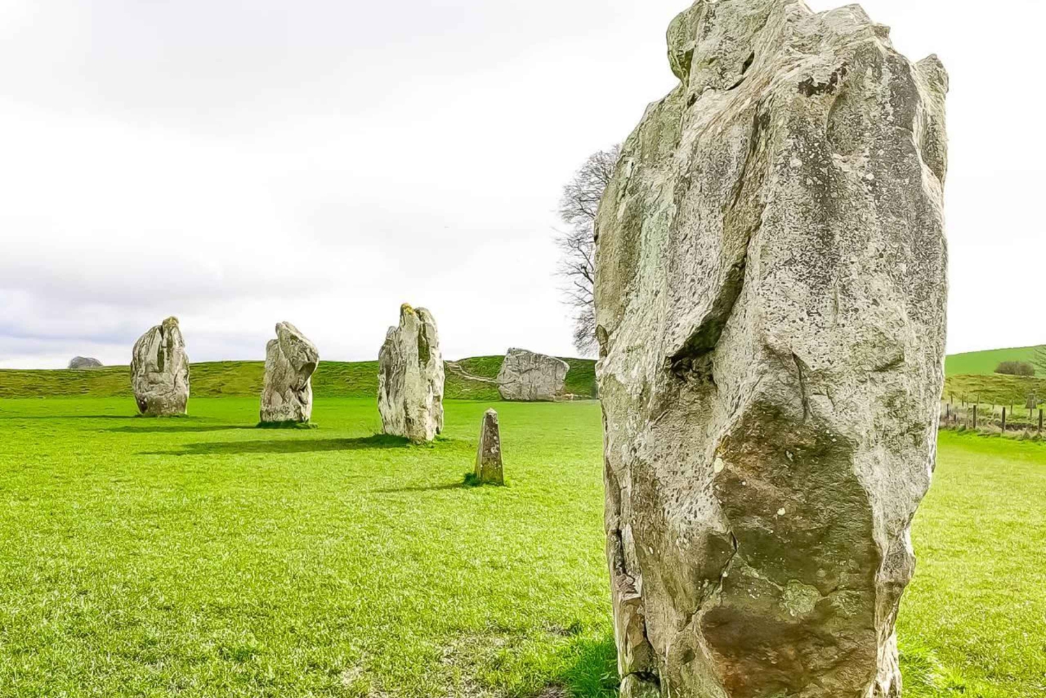 Fra London: Stonehenge og stencirklerne i Avebury Tour