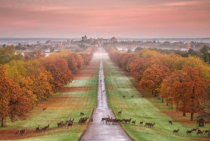 Fra London: Windsor Castle Royal Afternoon Sightseeingtur